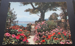 Reflets De La Côte D'Azur - Jardins Fleuris Sur Les Bords De La Méditerranée - Edit. "La Cigogne", Monaco - Andere & Zonder Classificatie