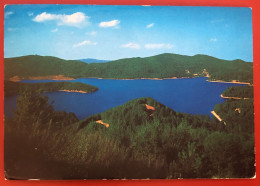 LA SILA - LAGO AMPOLLINO - 1982 (c708) - Other & Unclassified