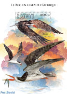 Guinea, Republic 2015 WWF Skimmer, Mint NH, Nature - Birds - Fish - World Wildlife Fund (WWF) - Poissons