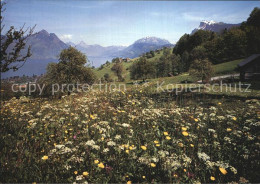 12586640 Beckenried Panorama  Beckenried - Altri & Non Classificati