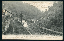 Carte Postale - France - Les Sauvages - Entrée Du Tunnel (CP24719) - Sonstige & Ohne Zuordnung