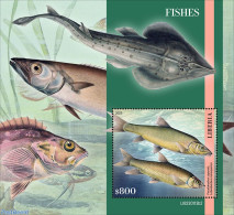 Liberia 2023 Fishes, Mint NH, Nature - Fish - Fische