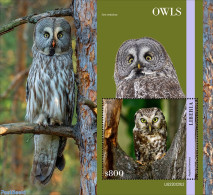 Liberia 2023 Owls, Mint NH, Nature - Birds - Birds Of Prey - Owls - Sonstige & Ohne Zuordnung