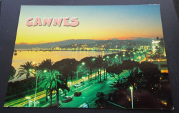 Cannes - La Croisette - Les Editions MAR, Saint André - Cannes