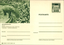 Entier Postal CPA Gelsenkichen, Ruhrzoo, Elefanten - Sonstige & Ohne Zuordnung
