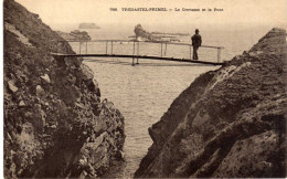 29 / TREGASTEL-PRIMEL - La Crevasse Et Le Pont - Primel