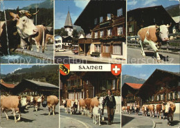 12578351 Saanen Vieparade Alabtrieb Platz  Saanen - Altri & Non Classificati