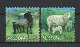Moldova 2014 Sheep Y.T. 763/764 (0) - Moldavia