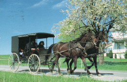 CPM - P - USA - ETATS UNIS - OHIO'S AMISH COUNTRY - Otros & Sin Clasificación