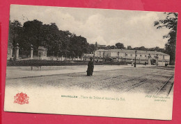 C.P. Bruxelles =  Place Du  Trône  Et  écurie  Du  Roi - Bruxelles-ville