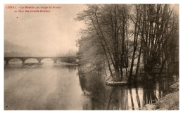 Epinal - La Moselle Par Temps De Brume Au Parc Des Grands Moulins - Sonstige & Ohne Zuordnung