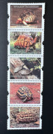 Madagascar Madagaskar 2023 Mi. ? Tortues Endémiques Turtles Schildkröten Faune Fauna Reptiles Reptilien - Madagaskar (1960-...)