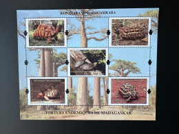 Madagascar Madagaskar 2023 Mi. Bl. ? Bloc S/S Tortues Endémiques Turtles Schildkröten Faune Fauna Reptiles Reptilien - Madagascar (1960-...)