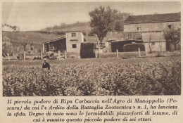 Podere Di Ripa Corbaccia Nell'Agro Di Manoppello (Pescara) - 1935 Stampa - Stiche & Gravuren
