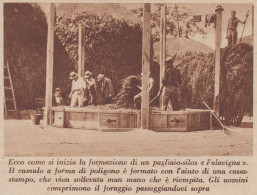 Formazione Di Un Pagliao-silos Falavigna - 1935 Stampa - Vintage Print - Stiche & Gravuren
