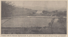 Veduta R. Stazione Sperimentale Di Granicoltura In Rieti - 1928 Stampa - Prints & Engravings
