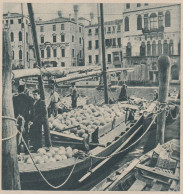 Carichi Cocomeri Al Mercato Di Venezia Da Orti Di Chioggia - 1938 Stampa - Prints & Engravings