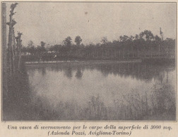 Avigliana (TO) - Azienda Pozzi - Vasca Svernamento Carpe - 1933 Stampa - Stiche & Gravuren