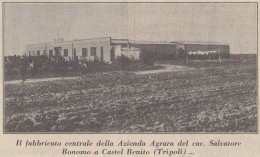 Azienda Agrara Cav. Salvatore Bonomo A Castel Benito Tripoli - 1933 Stampa - Prints & Engravings