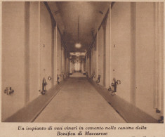 Vasi Vinari Nelle Cantine Della Bonifica Di Maccarese - 1934 Stampa Epoca - Stiche & Gravuren