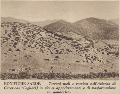 Terreni Nell'Azienda Di Geremeas (CA) In Via Di Bonifica - 1936 Stampa - Stiche & Gravuren