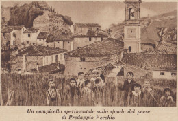Campicello Sperimentale Su Sfondo Paese Predappio Vecchia - 1934 Stampa - Stiche & Gravuren