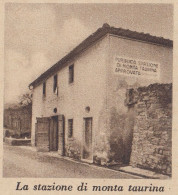 Pubblica Stazione Di Monta Taurina Approvata - 1937 Stampa - Vintage Print - Stiche & Gravuren