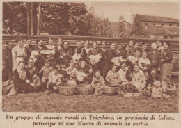 Un Gruppo Di Massaie Rurali Di Tricchino (UD) - 1938 Stampa Epoca - Print - Stiche & Gravuren