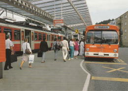 Autobus, Bus; Bahn, Train; RBS, Papiermühle Gemeinde Ittigen - Altri & Non Classificati