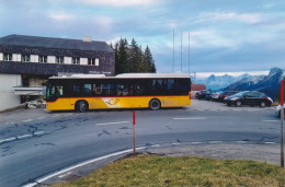 Autobus, Bus; Postauto, Car Postal; Mercedes Citaro; Gurnigel (Foto, Keine AK) - Other & Unclassified