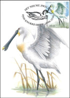 CM/MK° - 4605 - FDC - Spatule Blanche / Euraziatische Lepelaar / Löffler - Zwin - BUZIN - 1985-.. Birds (Buzin)