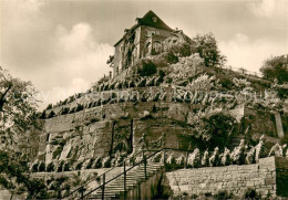 73751068 Grossjena Alte Weinberge An Der Unstrut Reliefs Von 1720 Grossjena - Naumburg (Saale)