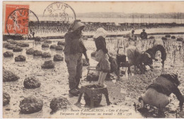 Arcachon, Parc Aux Huîtres, Parqueurs Et Parqueuses Au Travail- Coiffes - Altri & Non Classificati