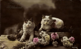 CPA Zwei Katzen, Blumen - Sonstige & Ohne Zuordnung