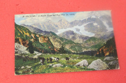 Vercelli Alpe Pile E Il Monte Rosa + Capre 1915 Ed. Zanfa - Vercelli