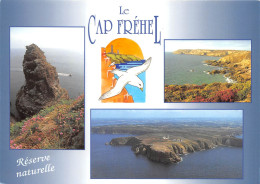 LE CAP FREHEL La Petite Fauconniere Les Landes Du Cap Et Vue Generale 25(scan Recto-verso) MA2011 - Cap Frehel