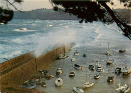 La Trinité Sur Mer Le Port    2   (scan Recto-verso)MA2007Bis - Arzon