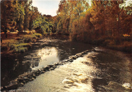 SAINT LEONARD DES BOIS Contre Jour Sur Le Barrage Et Sur La Sarthe 24(scan Recto-verso) MA2022 - Saint Leonard Des Bois