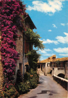 Une Vieille Rue Pittoresque Et Fleurie Haut CAGNES S MER 17(scan Recto-verso) MA2019 - Cagnes-sur-Mer
