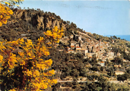 ROQUEBRUNE VILLAGE 13(scan Recto-verso) MA2019 - Roquebrune-Cap-Martin