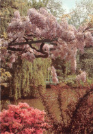 Musee Claude Monet GIVERNEY Le Jardin D Eau 7(scan Recto-verso) MA2014 - Autres & Non Classés