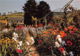 Musee Claude Monet GIVERNY Le Clos Normand Allee Vers L Est Au Soleil Levant 11(scan Recto-verso) MA2014 - Autres & Non Classés