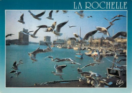 LA ROCHELLE  Mouettes Sur Le Port   4   (scan Recto-verso)MA2012Bis - La Rochelle