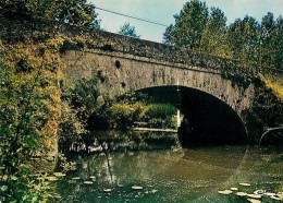 THOUARCE  Pont Sur Le Layon   12   (scan Recto-verso)MA2034Bis - Thouarce