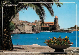 COLLIOURE  Le Vieux Port  7   (scan Recto-verso)MA2032Ter - Collioure