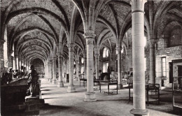 MUSEE ARCHEOLOGIQUE DE DIJON 12(scan Recto-verso) MA2045 - Dijon