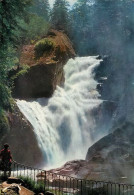 CAUTERETS Cascade Du CERISEY    3   (scan Recto-verso)MA2037Ter - Cauterets