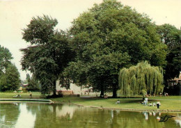 DOUAI 59  Le Jardin Publique Et L'étang  35   (scan Recto-verso)MA2035Ter - Douai