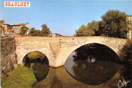 GRAULHET Le Pont Vieux 5(scan Recto-verso) MA2053 - Graulhet