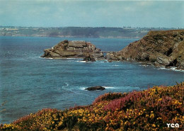 Morgat  Crozon  ROSCANVEL  Fort Et Pointe Des Capucins   30  (scan Recto-verso)MA2052Ter - Crozon